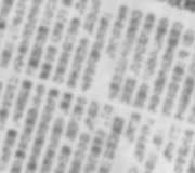 newsboard image