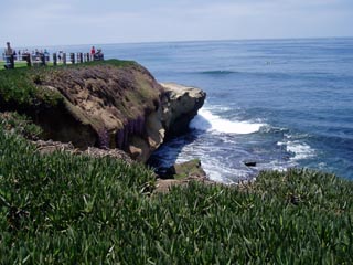 La Jolla(1)