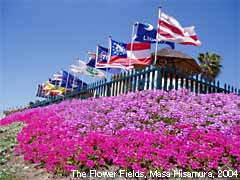 flowers and flags